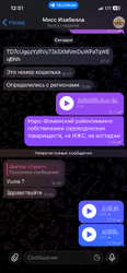 IMG_1993.png