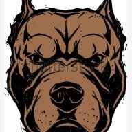 pitbull007