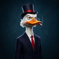 Mr Duck